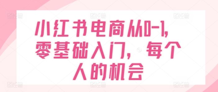 小红书电商从0-1,零基础入门,每个人的机会-世康聊项目