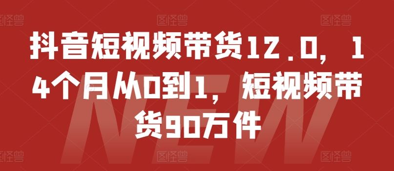 抖音短视频带货12.0，14个月从0到1，短视频带货90万件-世康聊项目