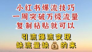 小红书爆流技巧，一周突破万级流量，复制粘贴就可以，引流爆流变现【揭秘】-世康聊项目