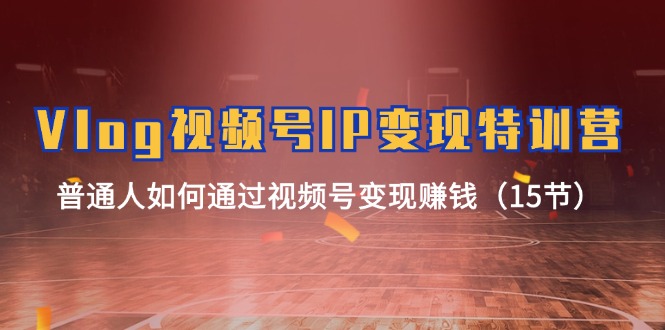 Vlog视频号IP变现特训营，普通人如何通过视频号变现赚钱（15节）-世康聊项目