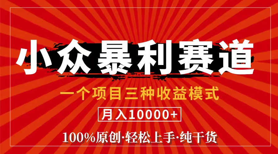 (11695期)视频号【中老年粉深信不疑】小众赛道 100%原创 手把手教学 新号3天收益…-世康聊项目