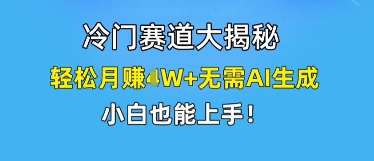 冷门赛道大揭秘，轻松月赚1W+无需AI生成，小白也能上手【揭秘】-世康聊项目