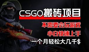 CSGO 装备搬砖项目，操作简单，不需要会玩游戏，小白也能快速上手，一个月轻松大几千【揭秘】-世康聊项目