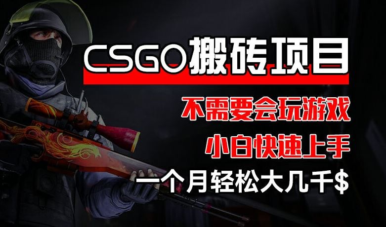 CSGO 装备搬砖项目，操作简单，不需要会玩游戏，小白也能快速上手，一个月轻松大几千【揭秘】-世康聊项目
