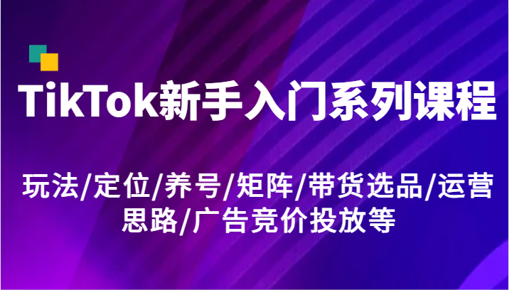 TikTok新手入门系列课程，玩法/定位/养号/矩阵/带货选品/运营思路/广告竞价投放等-世康聊项目