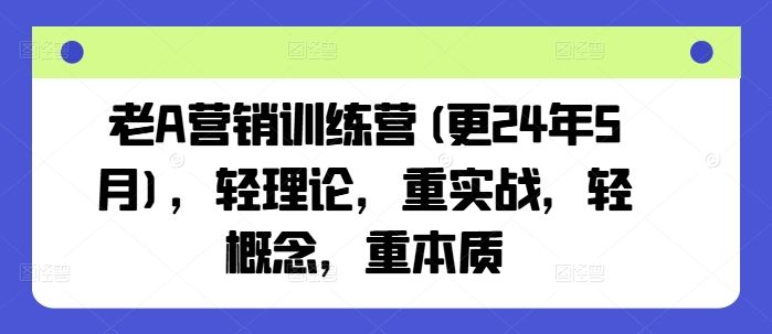 老A营销训练营(更24年7月),轻理论,重实战,轻概念,重本质-世康聊项目