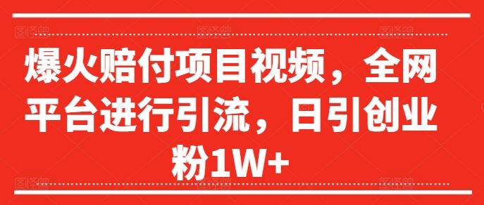 爆火赔付项目视频，全网平台进行引流，日引创业粉1W+【揭秘】-世康聊项目
