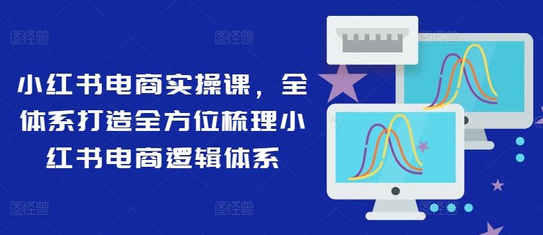 小红书电商实操课，全体系打造全方位梳理小红书电商逻辑体系-世康聊项目