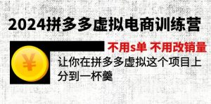 (12024期)2024拼多多虚拟电商训练营 不s单 不改销量 做虚拟项目分一杯羹(更新10节)-世康聊项目