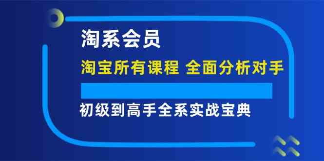 淘系会员初级到高手全系实战宝典【淘宝所有课程，全面分析对手】-世康聊项目