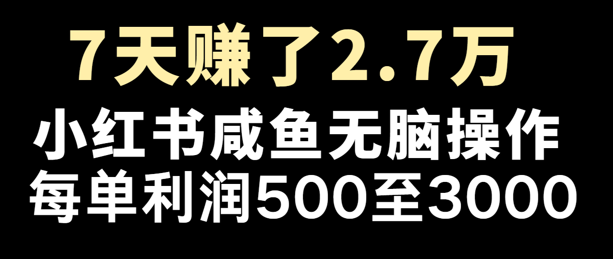 七天赚了2.7万！每单利润最少500+，轻松月入5万+小白有手就行-世康聊项目