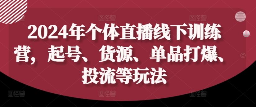 2024年个体直播训练营，起号、货源、单品打爆、投流等玩法-世康聊项目