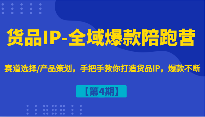 货品IP-全域爆款陪跑营【第4期】赛道选择/产品策划，手把手教你打造货品IP，爆款不断-世康聊项目
