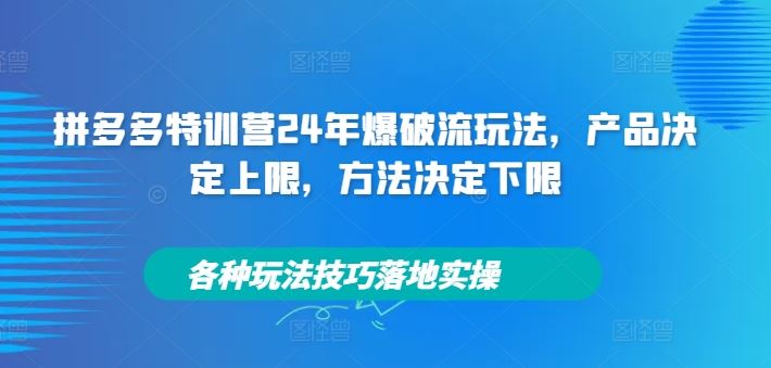 拼多多特训营24年爆破流玩法，产品决定上限，方法决定下限，各种玩法技巧落地实操-世康聊项目