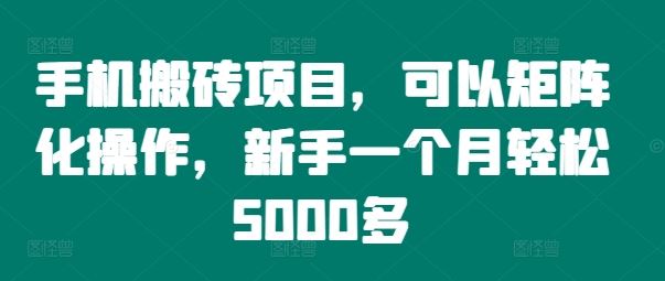 手机搬砖项目，可以矩阵化操作，新手一个月轻松5000多-世康聊项目