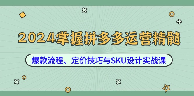2024掌握拼多多运营精髓：爆款流程、定价技巧与SKU设计实战课-世康聊项目