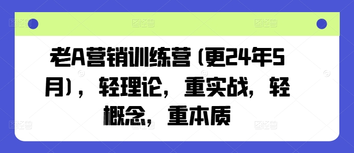 老A营销训练营(更24年9月),轻理论,重实战,轻概念,重本质-世康聊项目