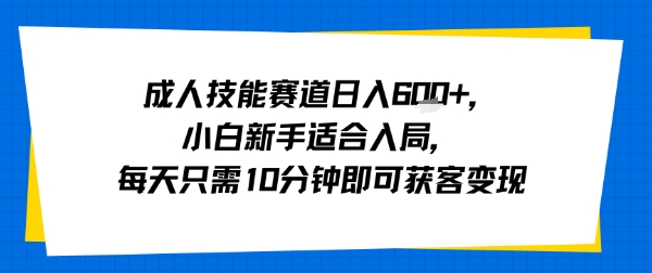 成人技能赛道日入多张，小白新手适合入局，每天只需10分钟即可获客变现-世康聊项目