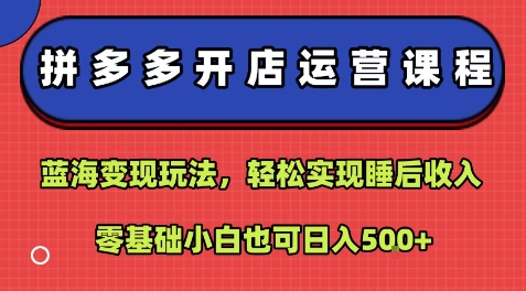 拼多多开店运营课程：蓝海变现玩法，轻松实现睡后收入，零基础小白也可日入5张-世康聊项目