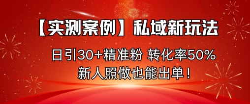 【实测案例】私域新玩法，日引30+精准粉，转化率50%，新人照做也能出单！-世康聊项目