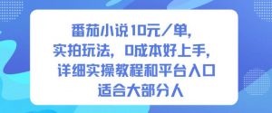 番茄小说10米每单,实拍玩法,0成本好上手,详细实操教程和平台入口适合大部分人-世康聊项目