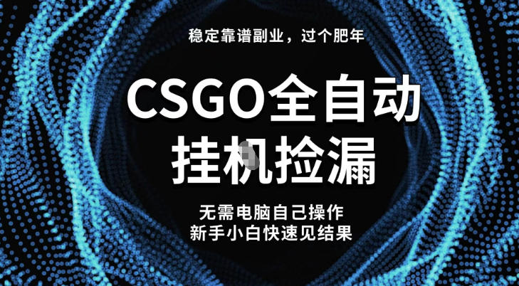 【稳定副业】全球最热门游戏CSGO全自动捡漏，最新玩法，新手小白日入5张+【揭秘】-世康聊项目