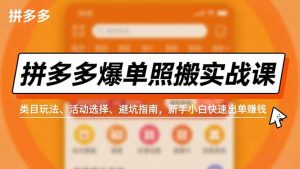 拼多多爆单照搬实战课,类目玩法、活动选择、避坑指南,新手小白快速出单赚钱-世康聊项目