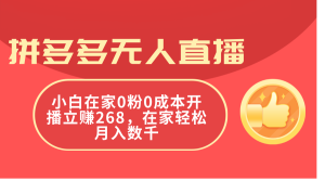 (11521期)拼多多无人直播,小白在家0粉0成本开播立赚268,在家轻松月入数千-世康聊项目