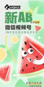 梅花实验室2024年AB技术视频号AB合成破解版-世康聊项目