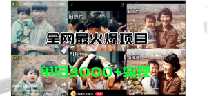 （11546期）全网爆火的AI让老照片动起来教程，蹭热点日赚3000+，内含免费工具一键…-世康聊项目