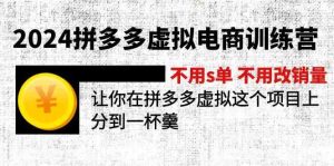 2024拼多多虚拟电商训练营 不用s单 不用改销量 在拼多多虚拟上分到一杯羹-世康聊项目
