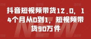 抖音短视频带货12.0,14个月从0到1,短视频带货90万件-世康聊项目