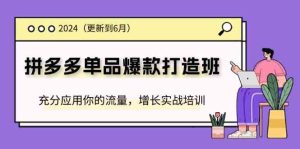 2024拼多多单品爆款打造班，充分应用你的流量，增长实战培训(更新6月)-世康聊项目