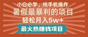 （11583期）小白必学，纯手机操作，暑假最暴利的项目轻松月入5w+最火热赚钱项目-世康聊项目