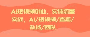 AI短视频创业,实体流量实战,AI/短视频/直播/私域/团队-世康聊项目