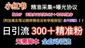 小红薯精准采集+无限曝光+真实笔记跳转微信,永不屏蔽(日引300+精准粉)-世康聊项目