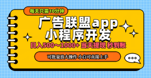 (11645期)小程序开发 广告赚钱 日入500~1000+ 小白轻松上手!-世康聊项目