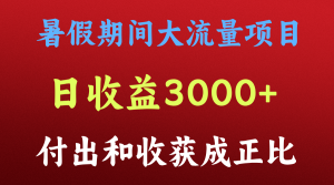 一天收益3000+，暑假期间， 这个项目才是真火-世康聊项目