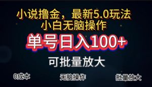 (11651期)全自动小说撸金,单号日入100+小白轻松上手,无脑操作-世康聊项目