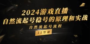 (11653期)2024游戏直播-自然流起号稳号的原理和实战,自然流起号流程(11节)-世康聊项目