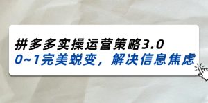 (11658期)2024_2025拼多多实操运营策略3.0,0~1完美蜕变,解决信息焦虑(38节)-世康聊项目