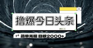 （11665期）撸爆今日头条 简单无脑操作 日收2000+-世康聊项目