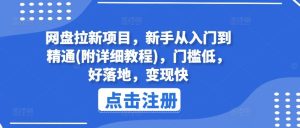 网盘拉新项目,新手从入门到精通(附详细教程),门槛低,好落地,变现快-世康聊项目