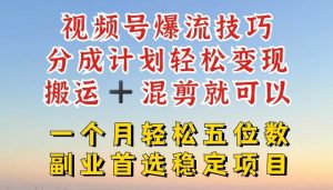 视频号爆流技巧,分成计划轻松变现,搬运 +混剪就可以,一个月轻松五位数稳定项目【揭秘】-世康聊项目