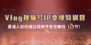 Vlog视频号IP变现特训营,普通人如何通过视频号变现赚钱(15节)-世康聊项目