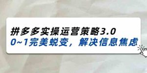 2024-2025拼多多实操运营策略3.0,0~1完美蜕变,解决信息焦虑(38节)-世康聊项目