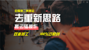 （11682期）去重新思路，详细教你自媒体视频二剪搬运技术，自己加工双重去重100%过…-世康聊项目