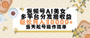 （11684期）视频号AI美女，轻松月入30000+,操作简单轻松上手-世康聊项目