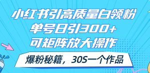 （11692期）小红书引高质量白领粉，单号日引300+，可放大操作，爆粉秘籍！30s一个作品-世康聊项目