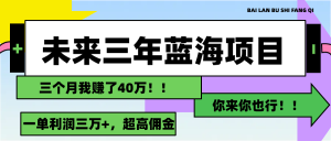 (11716期)未来三年,蓝海赛道,月入3万+-世康聊项目